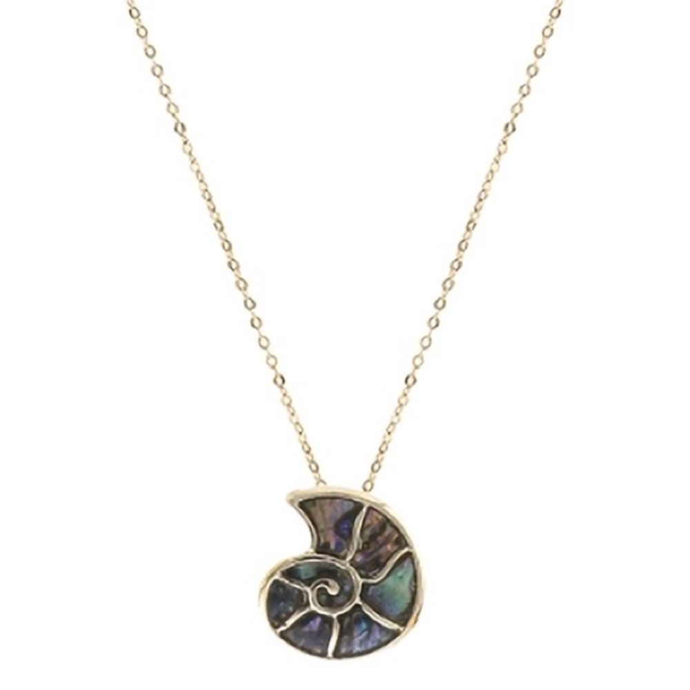 NEWโจ Genuine Abalone Ammonite Shell Pendant Necklace The Little Mermaid Ursula